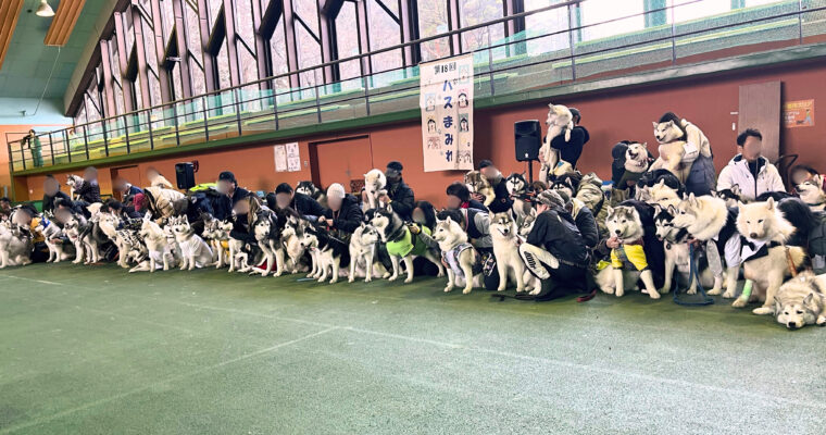 レオ大興奮！初めての『ハスまみれ2024』で300匹のモフモフに囲まれた夢の1日🐾