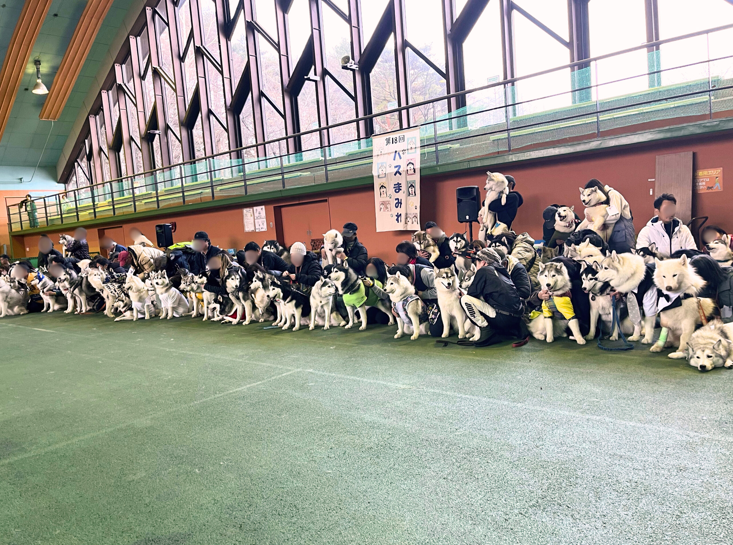 レオ大興奮!初めての『ハスまみれ2024』で300匹のモフモフに囲まれた夢の1日🐾